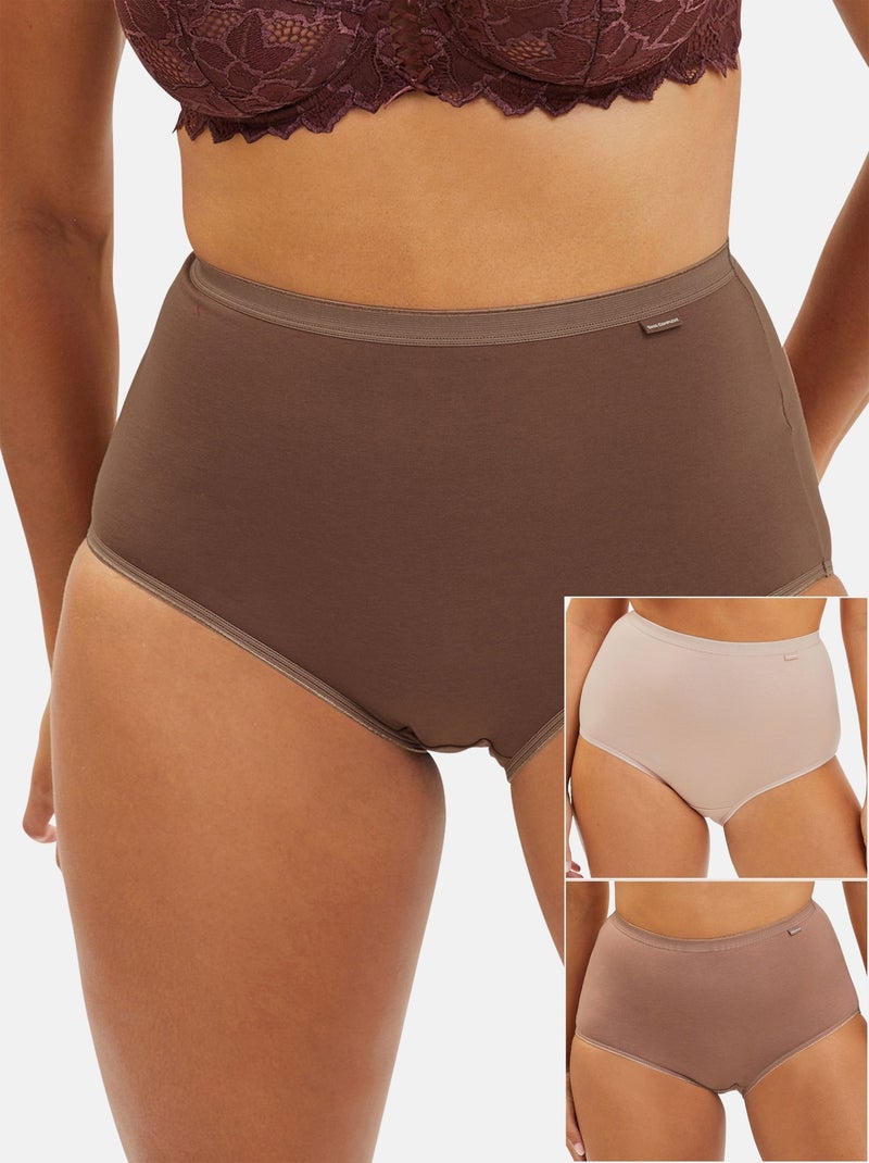 Lot de trois culottes Simplement Coton B Sans Complexe Marron - Kiabi