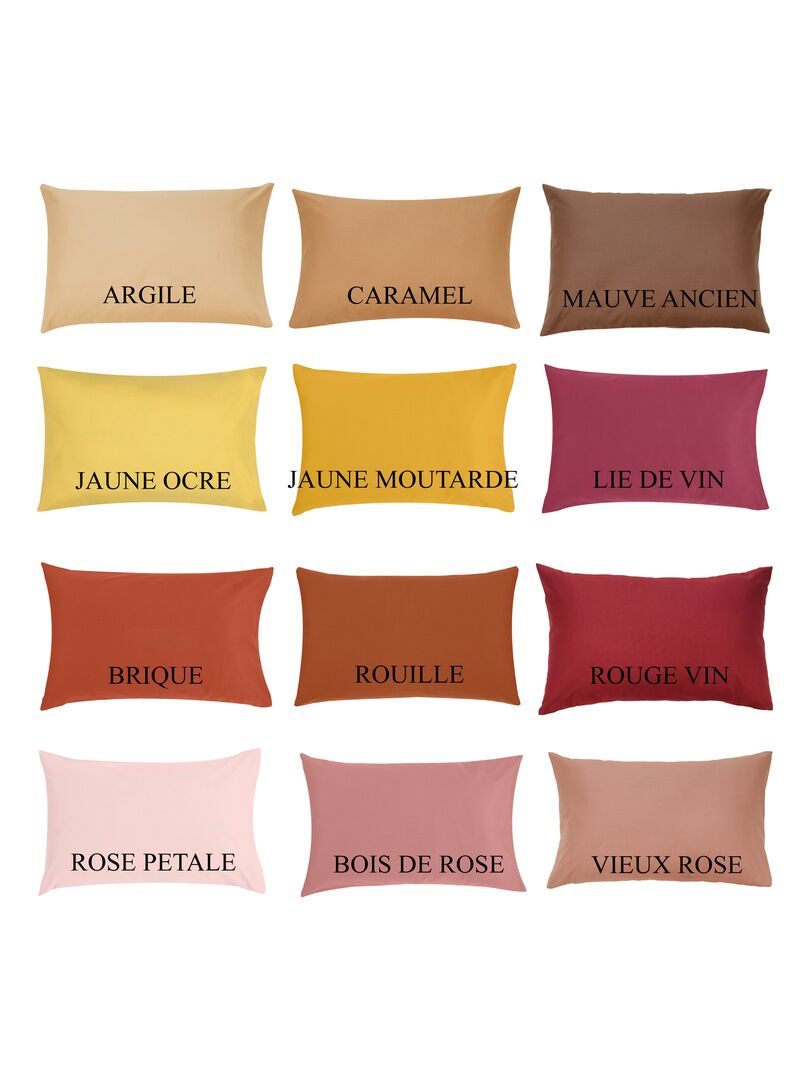 Lot x3 Taies d'oreiller 40x60 cm - 100% coton Bio - 'Ptit Basile' Bleu canard - Kiabi