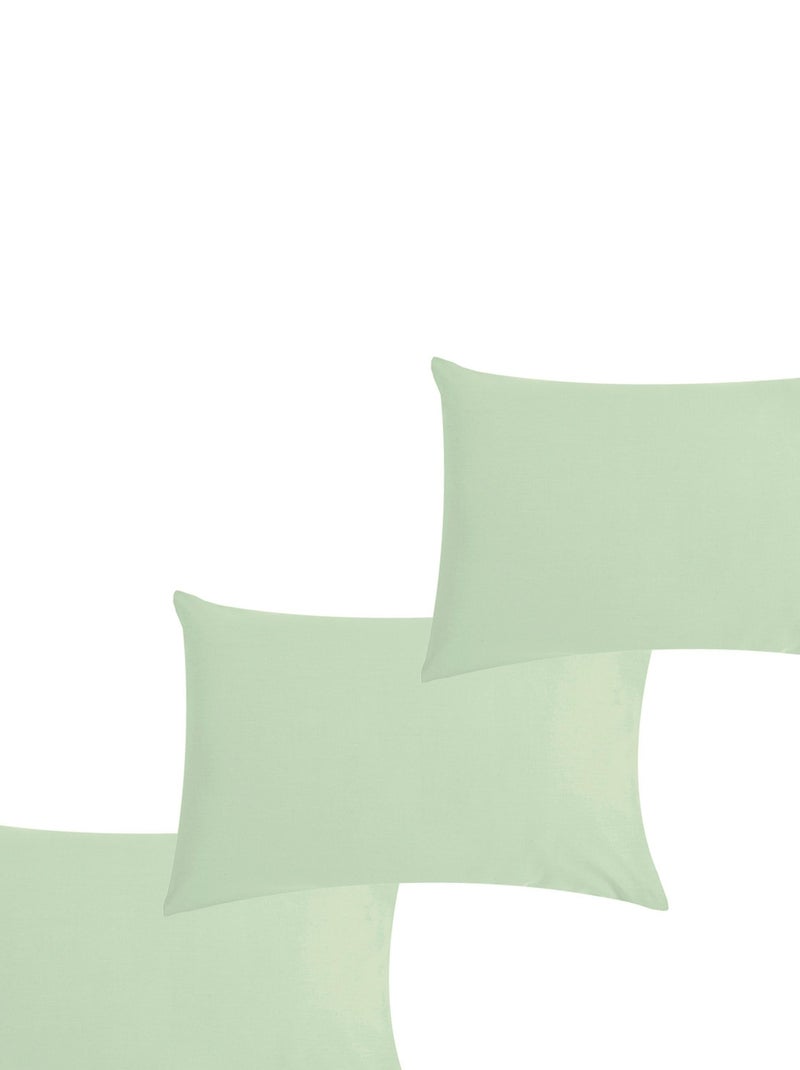 Lot x3 Taies d'oreiller 40x60 cm - 100% coton Bio - 'Ptit Basile' Vert d'eau - Kiabi