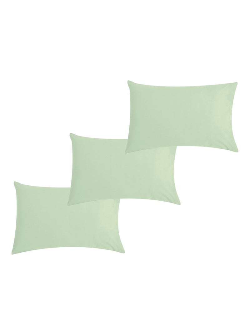 Lot x3 Taies d'oreiller 40x60 cm - 100% coton Bio - 'Ptit Basile' Vert d'eau - Kiabi