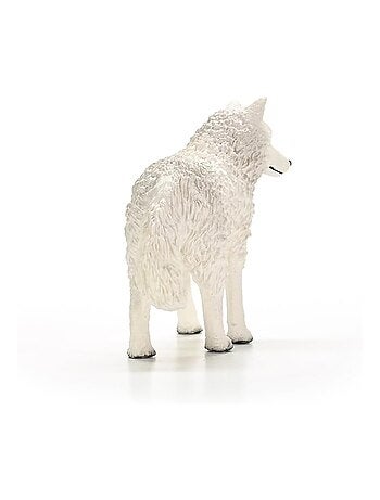 Loup arctique