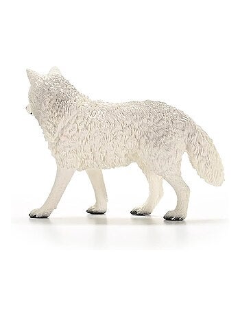 Loup arctique