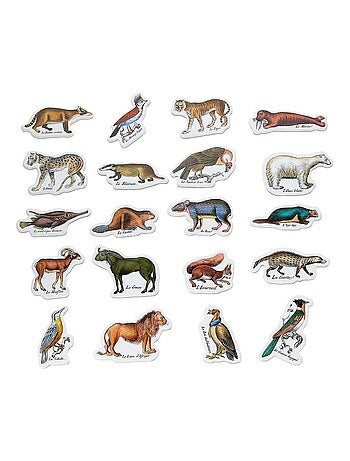 Magnets zoologiques de buffon