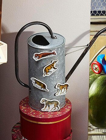 Magnets zoologiques de buffon