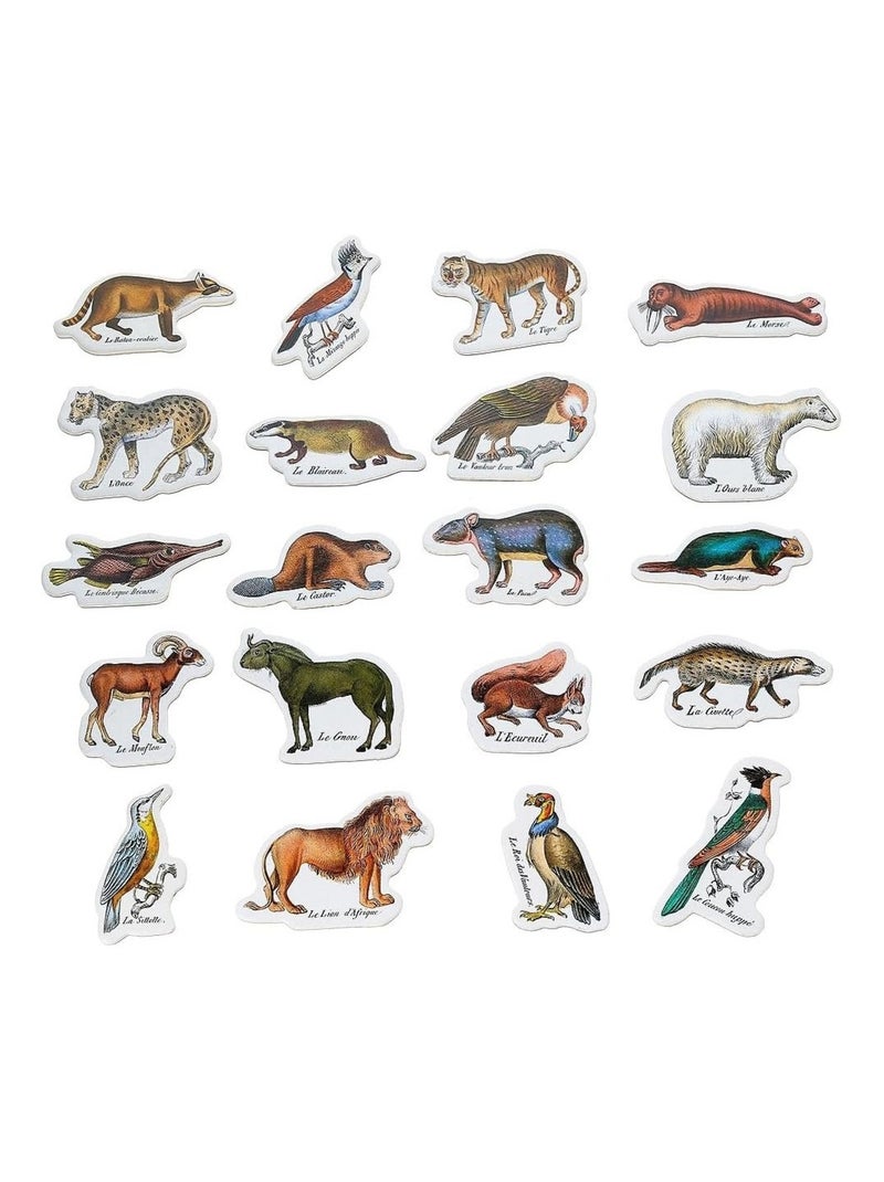 Magnets zoologiques de Buffon N/A - Kiabi