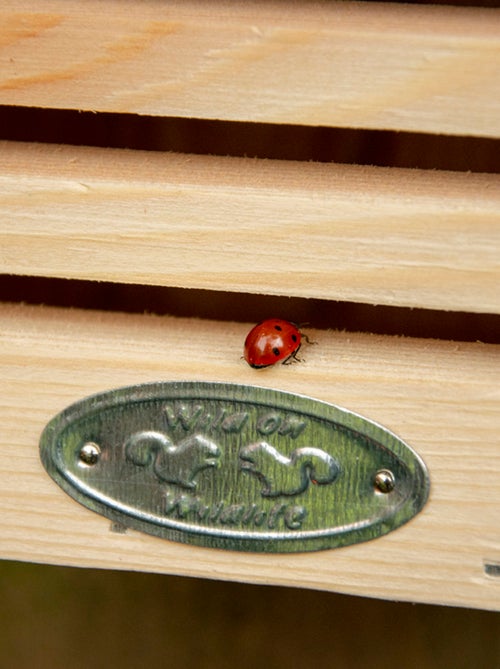 Maison à coccinelles avec silhouette - Kiabi