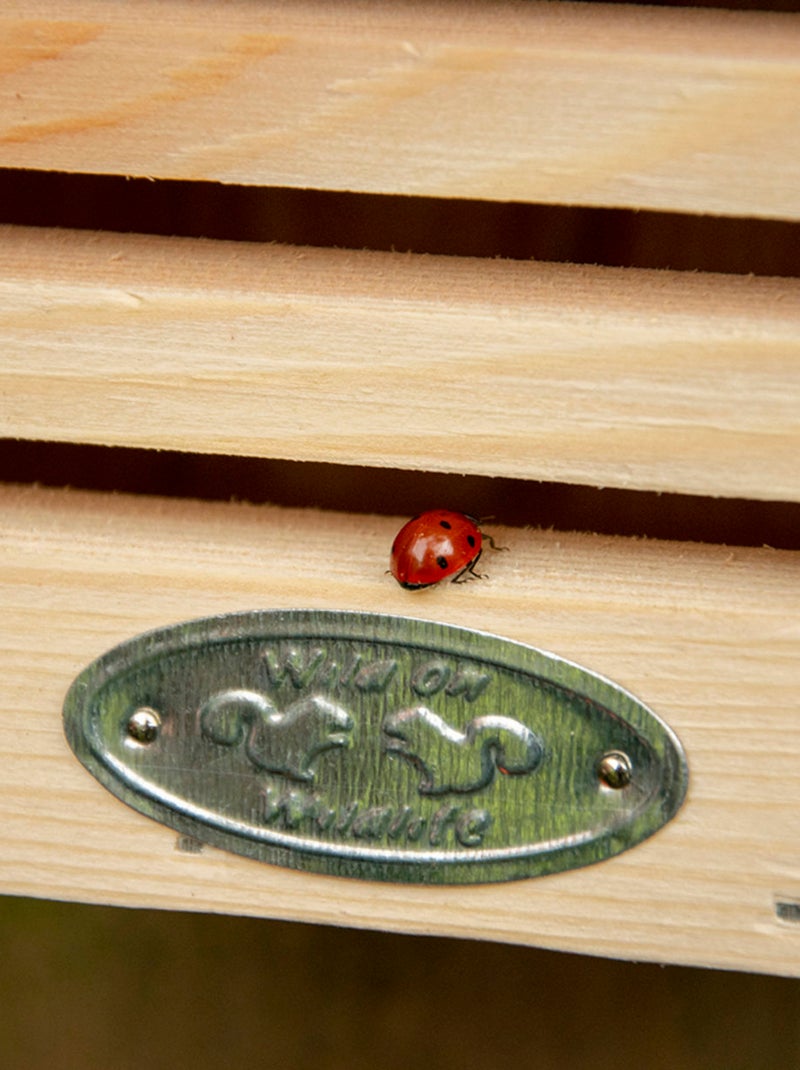 Maison à coccinelles avec silhouette Beige - Kiabi