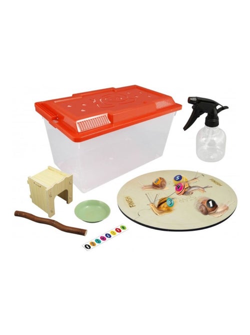 Maison des escargots - Kiabi