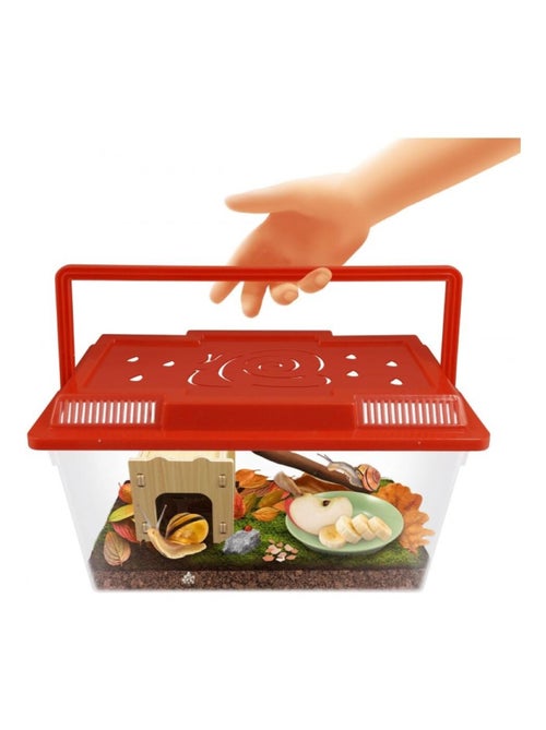 Maison des escargots - Kiabi