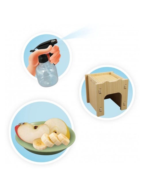 Maison des escargots - Kiabi