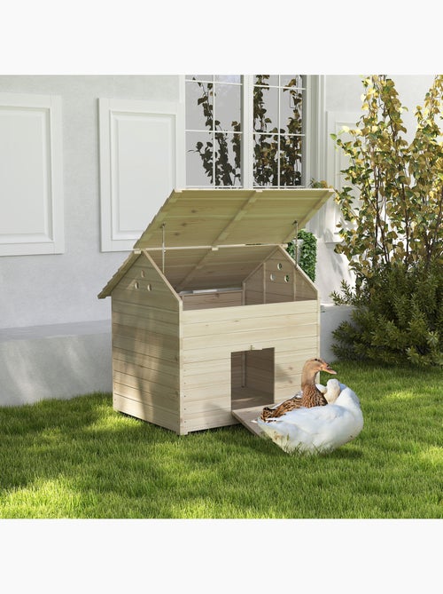 Maison pour rongeur - grande niche en bois pour canard - naturel - Kiabi