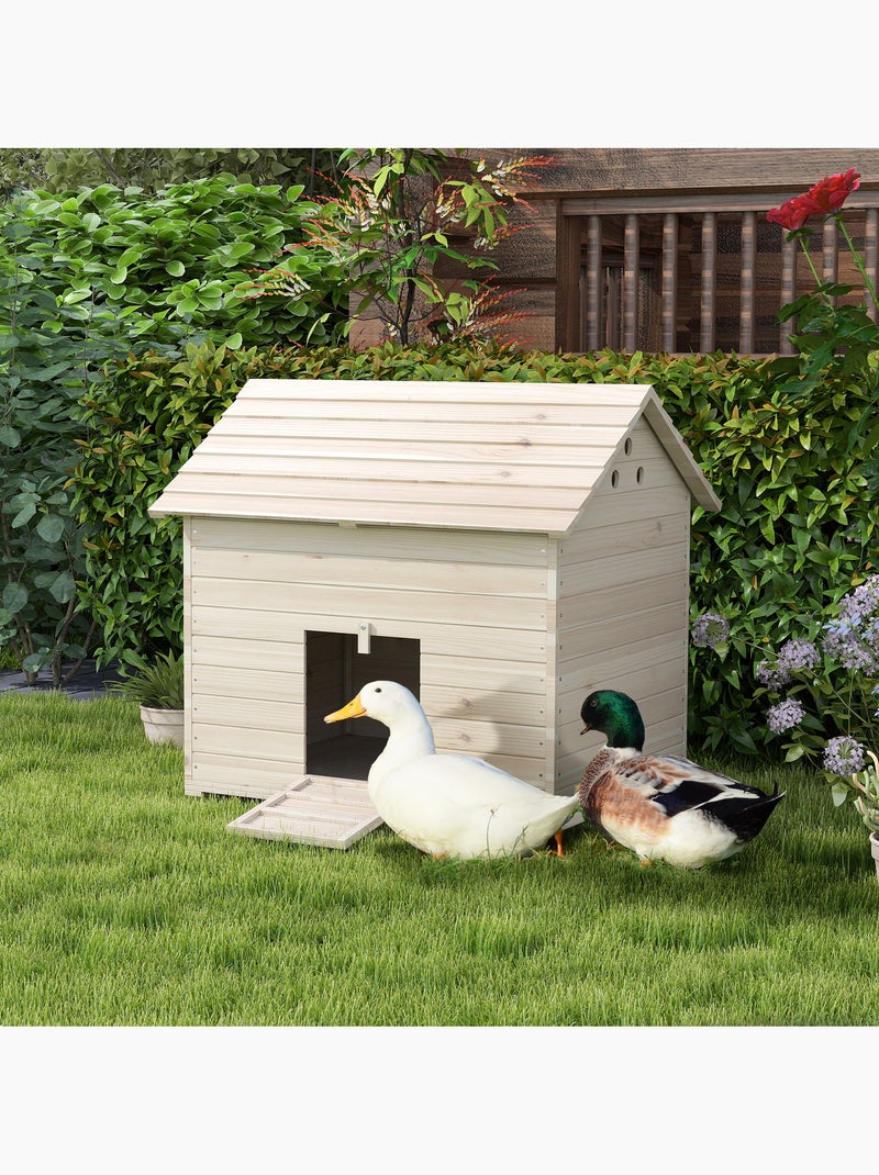Maison pour rongeur - grande niche en bois pour canard - naturel Beige - Kiabi