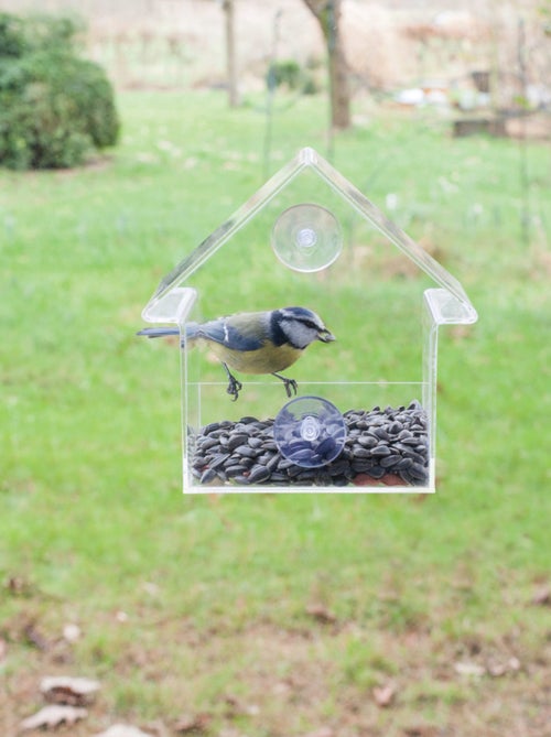 Mangeoire fenêtre acrylique - Kiabi