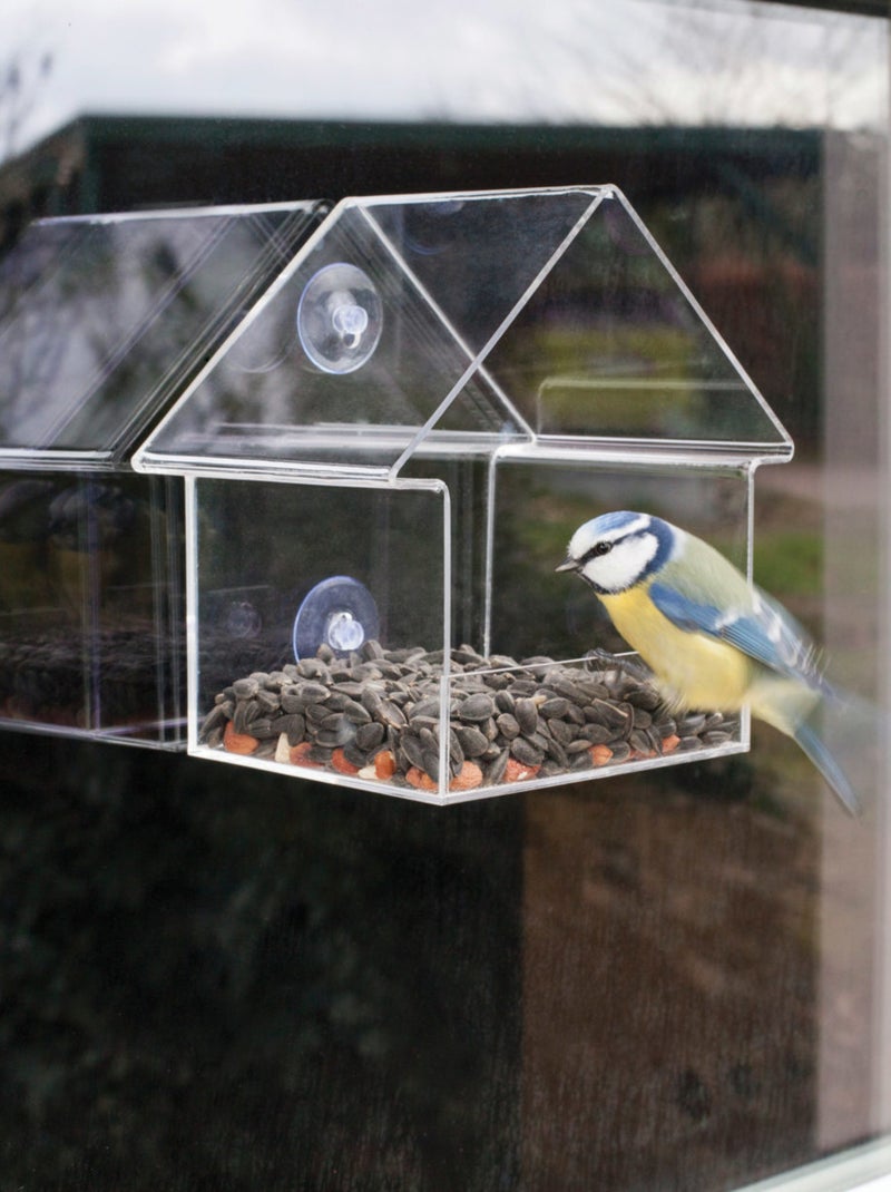 Mangeoire fenêtre acrylique Blanc - Kiabi