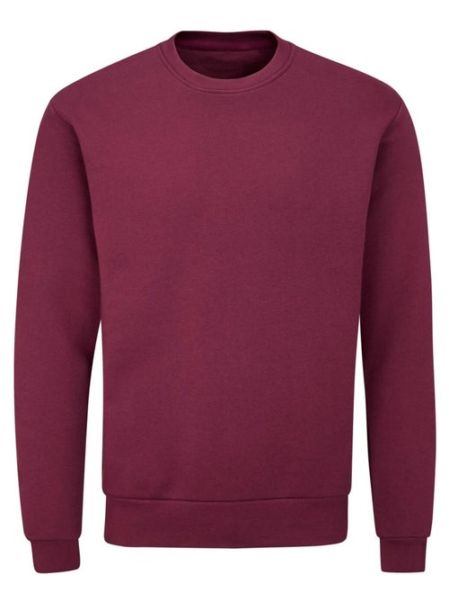 Mantis - Sweat motif/style uni ESSENTIAL - Kiabi
