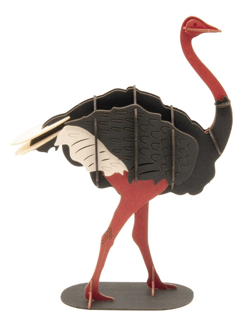 Maquette 3D en papier Autruche N/A - Kiabi