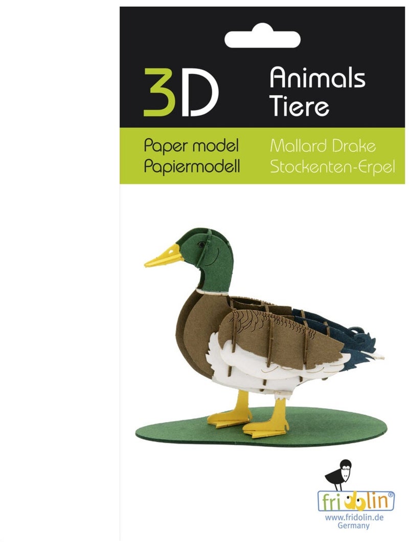 Maquette 3D en papier Canard colvert mâle N/A - Kiabi