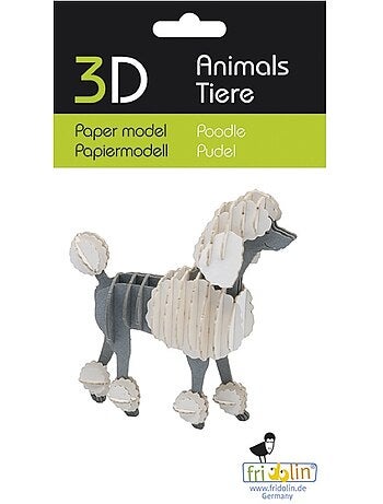 Maquette 3d en papier caniche