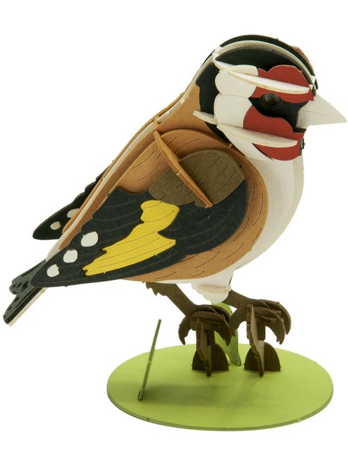 Maquette 3D en papier chardonneret elegant - Kiabi