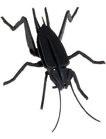 Maquette 3d en papier cricket