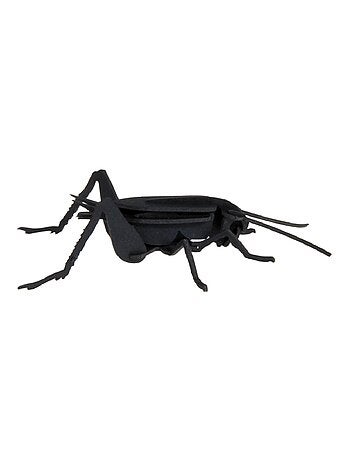 Maquette 3d en papier cricket