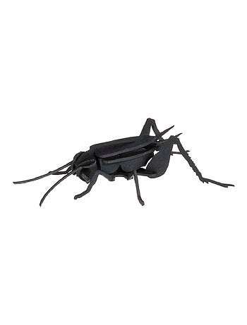 Maquette 3d en papier cricket