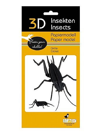 Maquette 3d en papier cricket