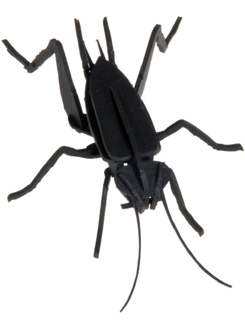 Maquette 3D en papier Cricket N/A - Kiabi