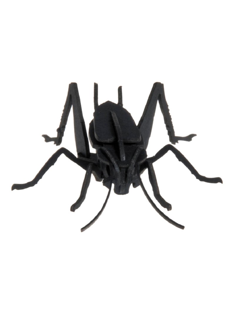 Maquette 3D en papier Cricket N/A - Kiabi