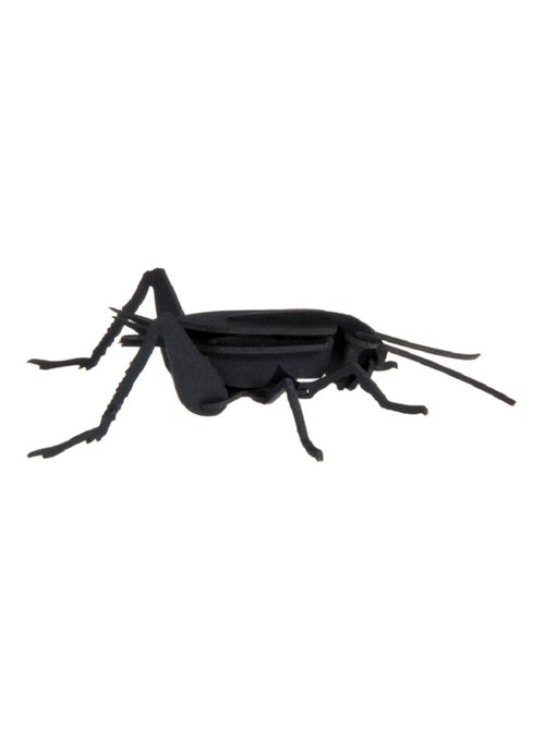 Maquette 3D en papier Cricket - Kiabi