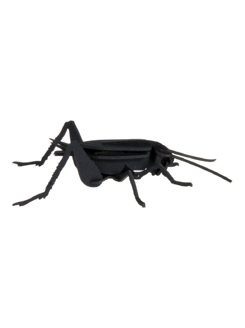 Maquette 3D en papier Cricket N/A - Kiabi