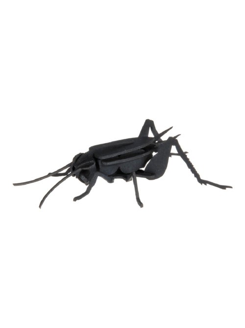 Maquette 3D en papier Cricket - Kiabi