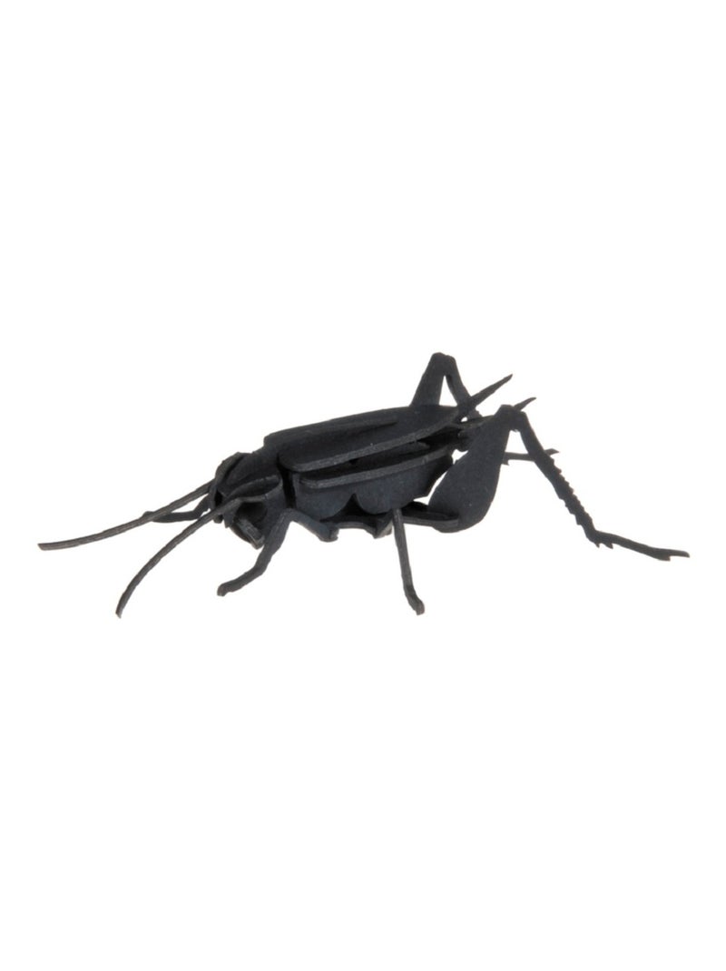 Maquette 3D en papier Cricket N/A - Kiabi