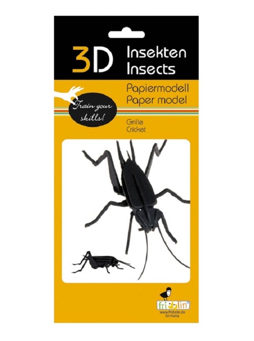 Maquette 3D en papier Cricket - Kiabi