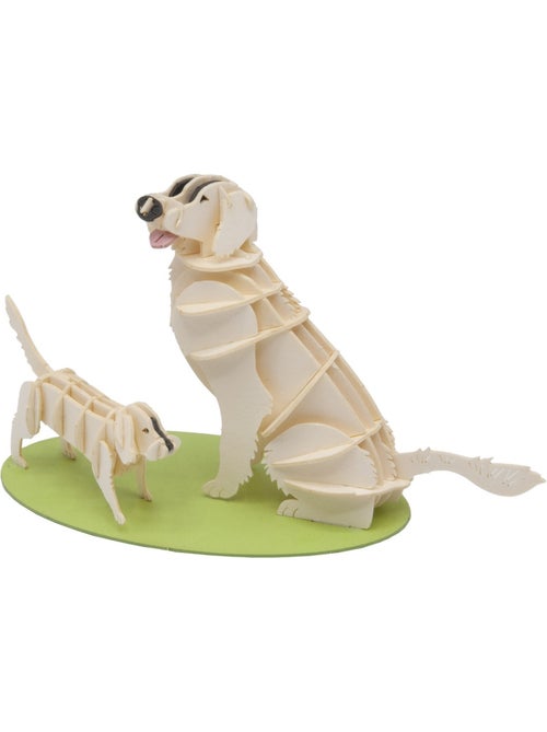 Maquette 3D en papier Golden Retriever - Kiabi