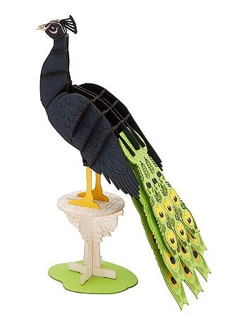 Maquette 3d en papier paon