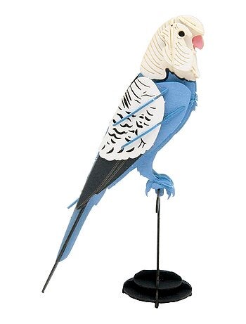 Maquette 3d en papier perruche ondulée