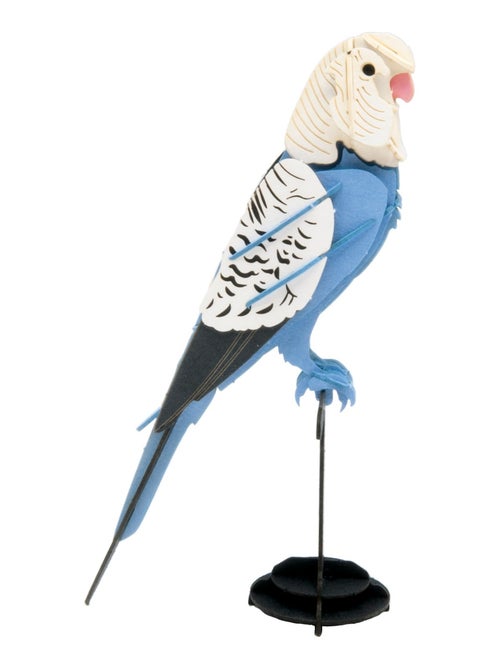 Maquette 3D en papier Perruche Ondulée - Kiabi