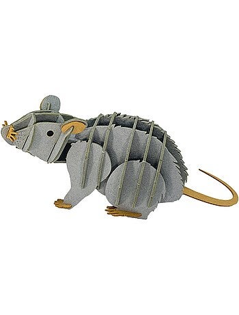 Maquette 3d en papier rat