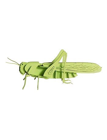 Maquette 3d en papier sauterelle