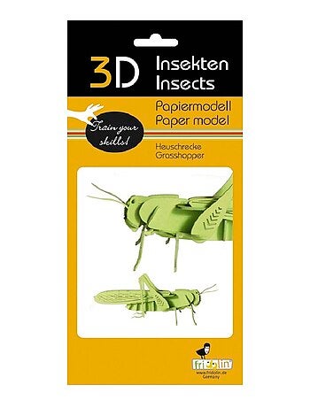 Maquette 3d en papier sauterelle