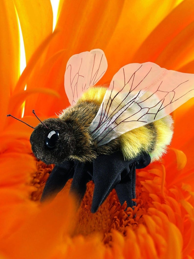 Marionnette à main Abeille Noir - Kiabi