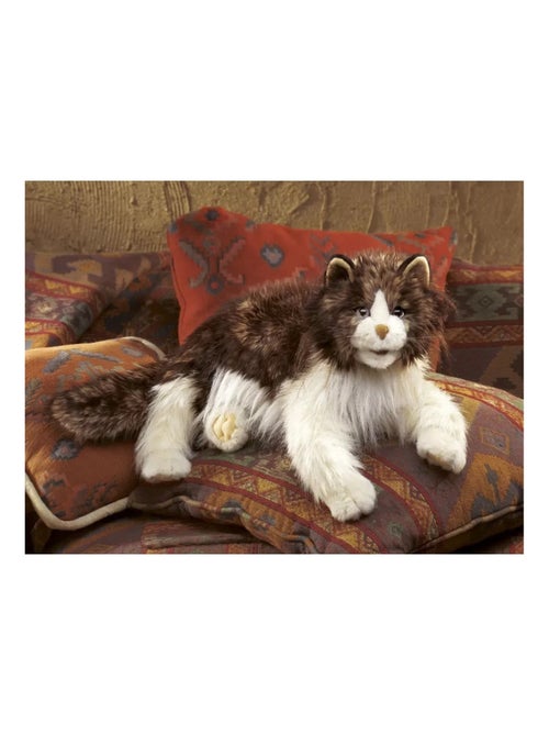 Marionnette à main Chat Ragdoll - Kiabi