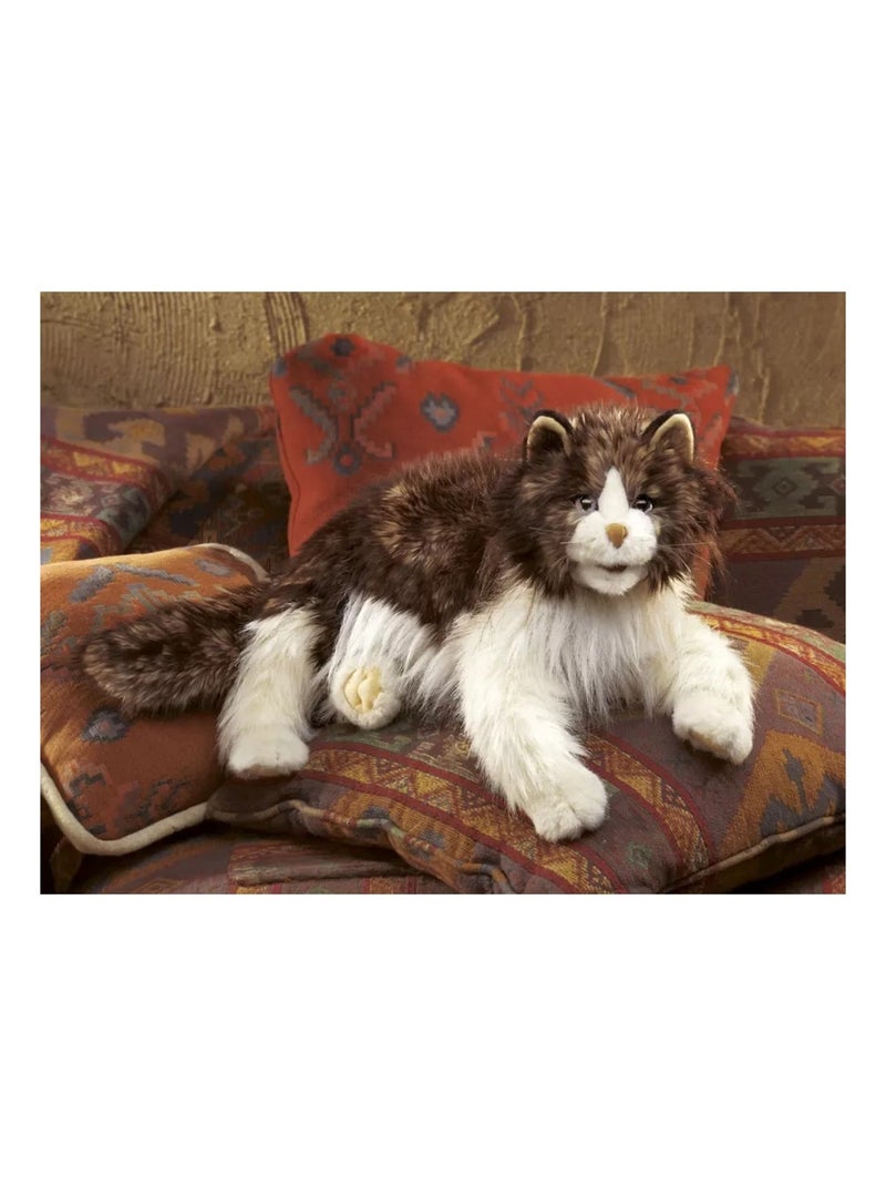 Marionnette à main Chat Ragdoll Marron - Kiabi
