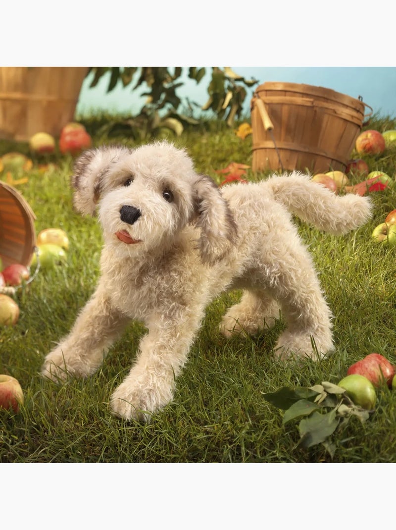 Marionnette à main Chien Labradoodle Beige - Kiabi