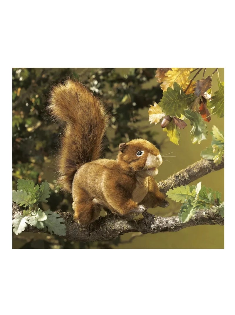 Marionnette à main Écureuil roux Marron - Kiabi