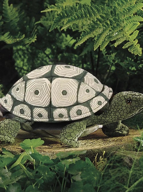 Marionnette à main Tortue - Kiabi