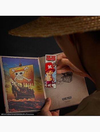 Marque-page en métal Tony Tony Chopper - One Piece