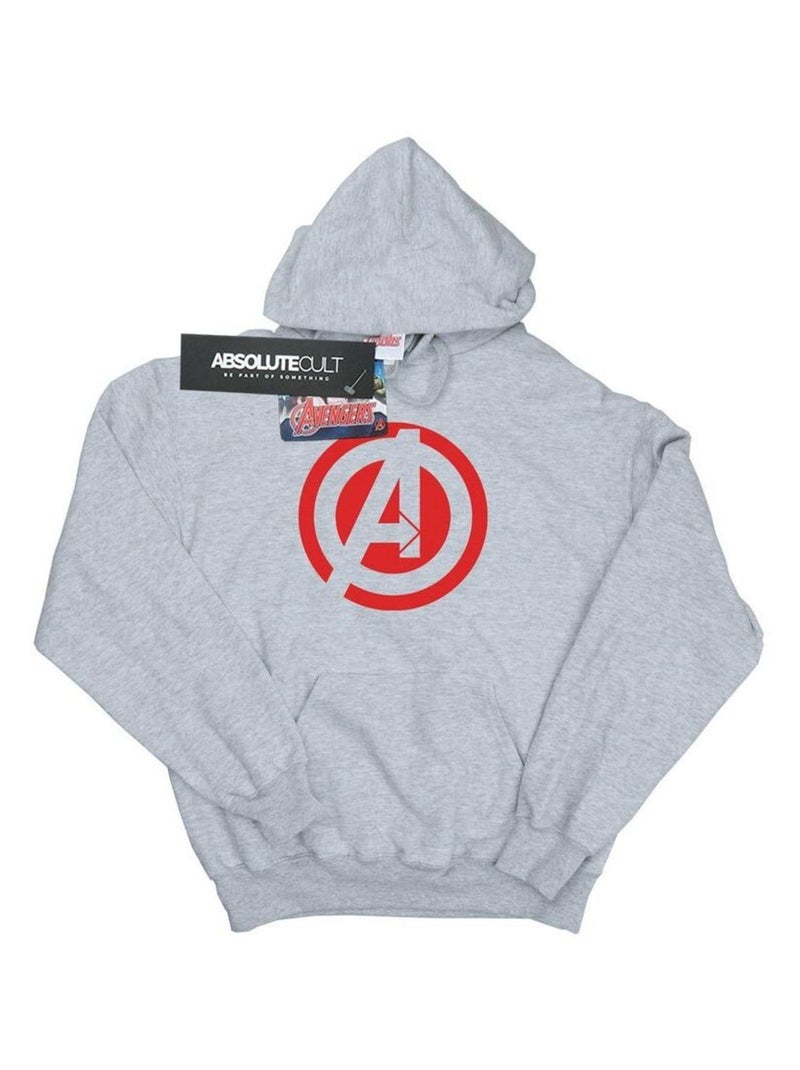 Marvel - Sweat à capuche Avengers Rassemblement Gris chiné - Kiabi