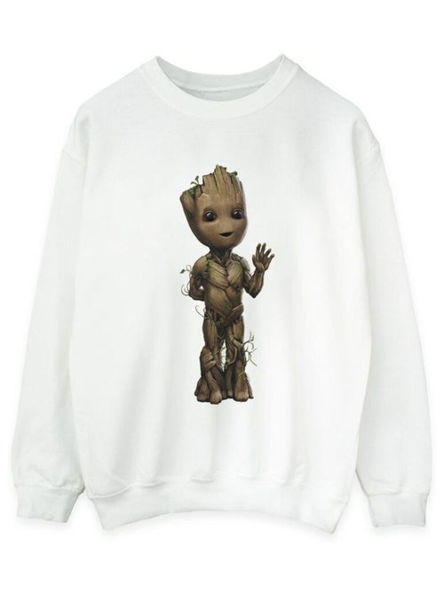 Marvel - Sweat AM GROOT - Kiabi Marvel - Sweat AM GROOT - Kiabi